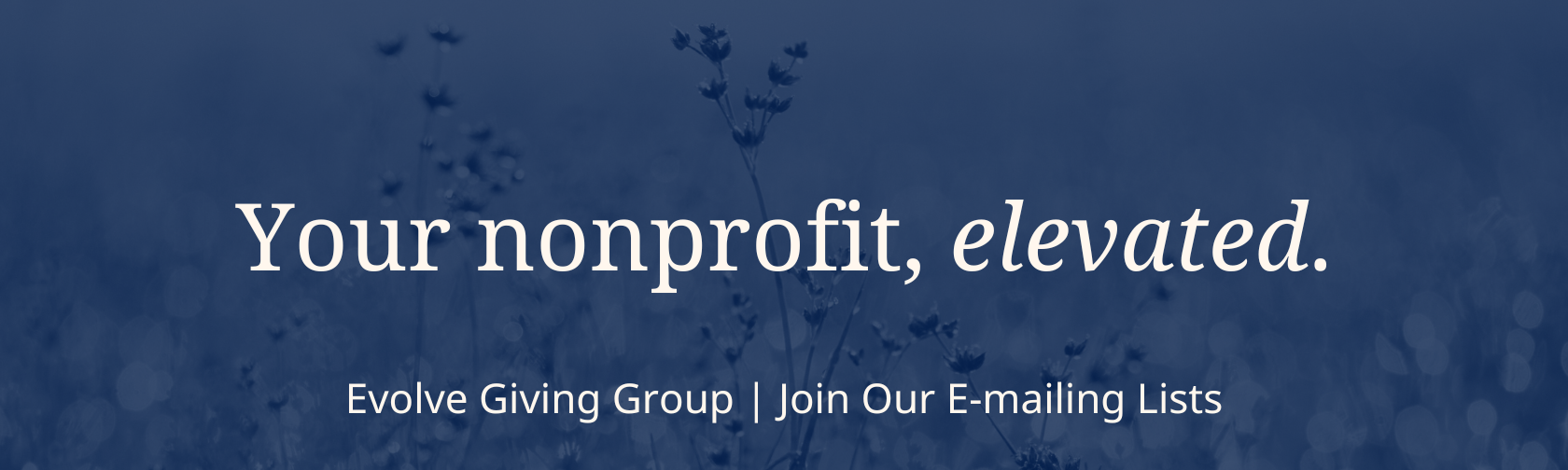 EBLAST BANNER IMAGES-3